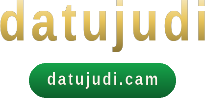 datujudi logo
